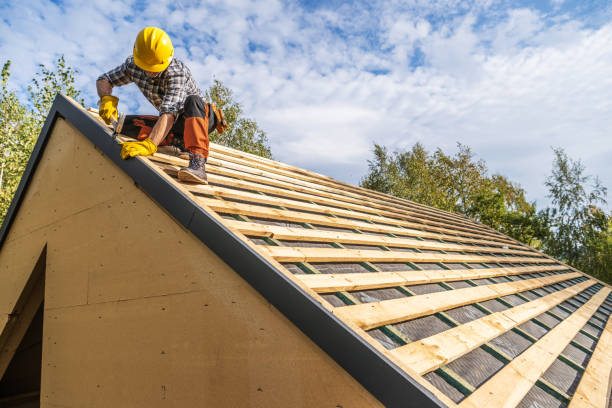 Best Storm Damage Roof Repair  in Oak Grove, AL